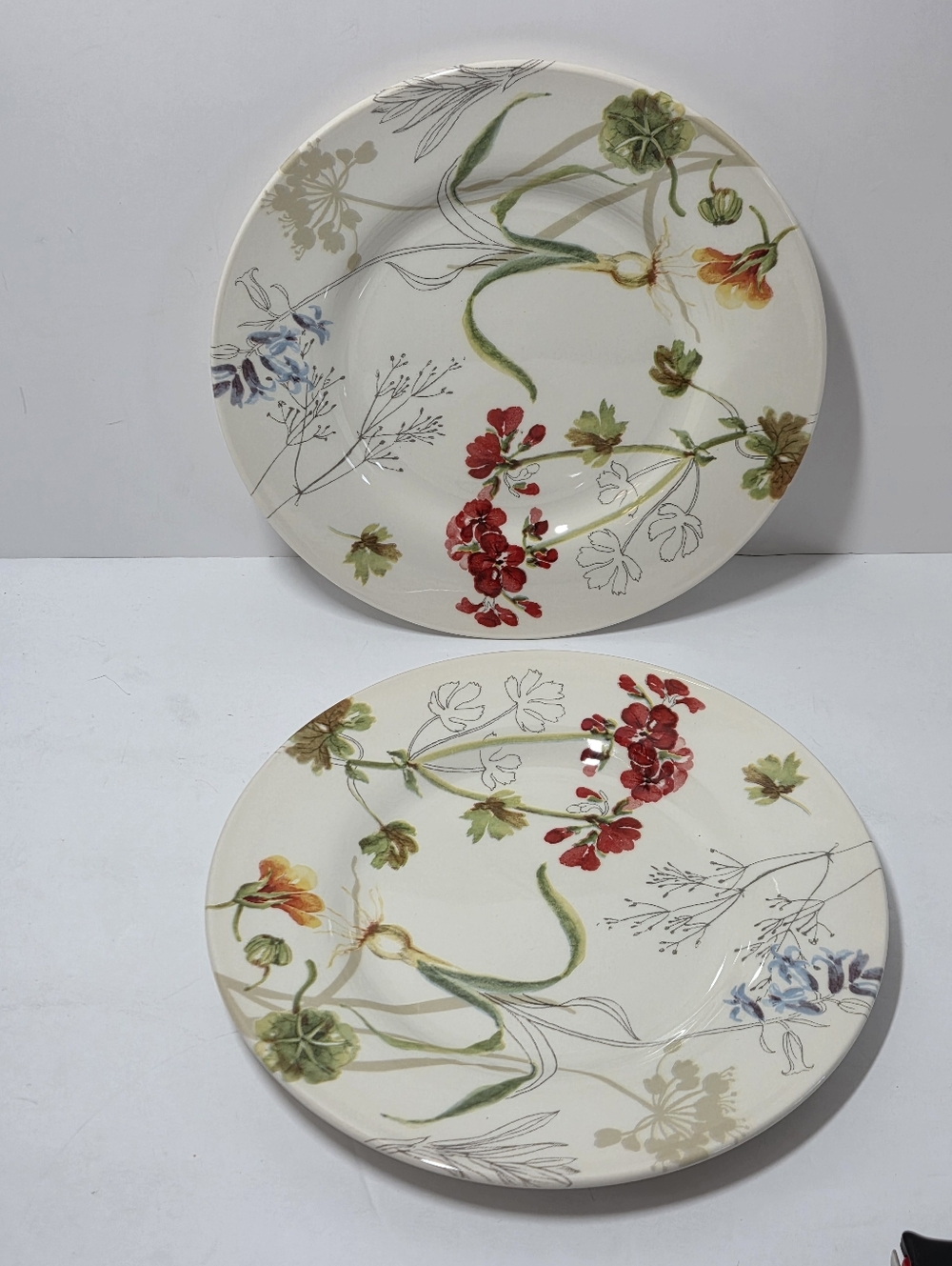 Royal Stafford SKETCHBOOK, Set of 2 Salad Plates
